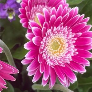 Meet your Posher, Jane